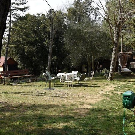 Апартаменти Mdq - Azienda Agricola Кастільйоне-д'Орчія Екстер'єр фото